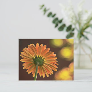 Gerbera Briefkaart
