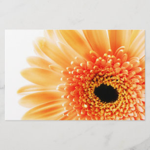 Gerbera Briefpapier