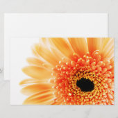 Gerbera Briefpapier (Voorkant / Achterkant)