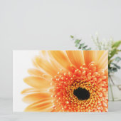 Gerbera Briefpapier (Staand voorkant)