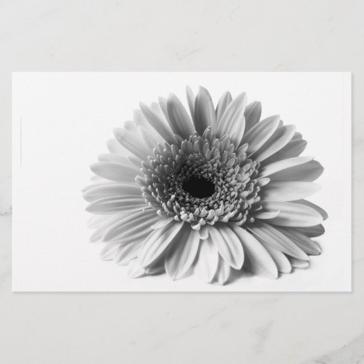 Gerbera Briefpapier (Voorkant)