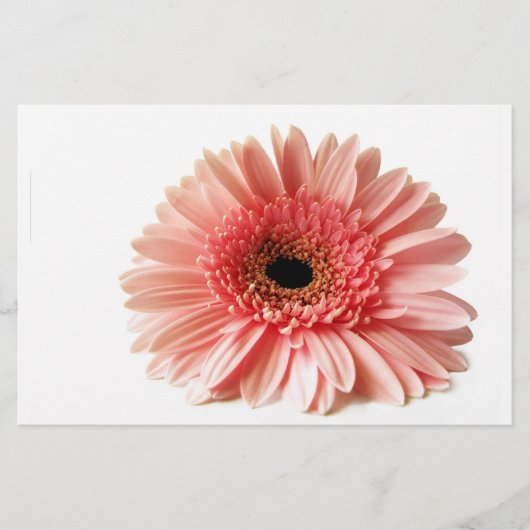 Gerbera Briefpapier (Voorkant)