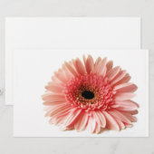 Gerbera Briefpapier (Voorkant / Achterkant)