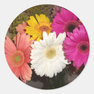 Gerbera Daisies 017 Ronde Sticker