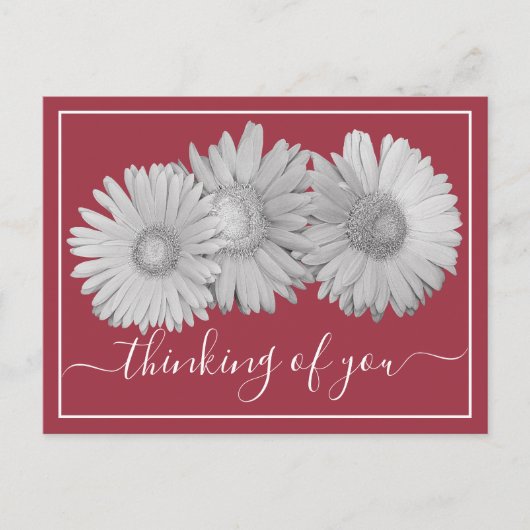 Gerbera Daisies Blush Background denking You Briefkaart (Voorkant)