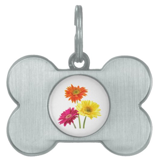 Gerbera Daisies Huisdieren Naamplaatje (voorkant)