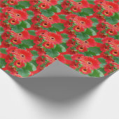 Gerbera Daisies inpakpapier (Hoek)