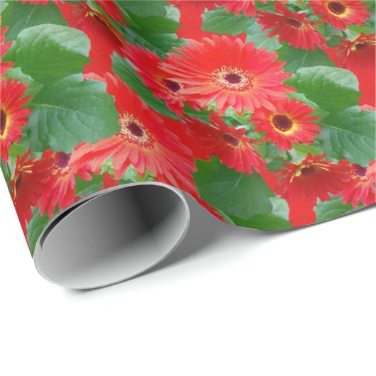 Gerbera Daisies inpakpapier (Rol Hoek)