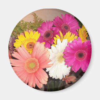 Gerbera Daisies Magneet