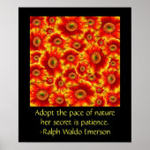 Gerbera Daisies met Citaat Poster (Voorkant)