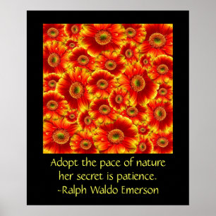 Gerbera Daisies met Citaat Poster