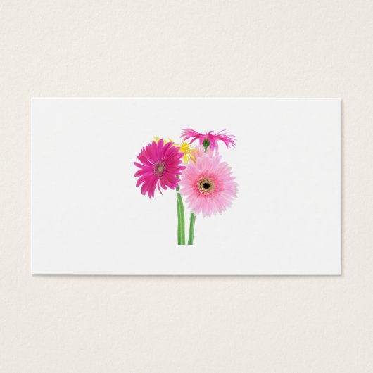 Gerbera Daisies Pink Visitekaartje (Voorkant)