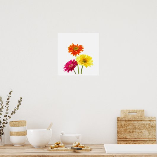 Gerbera Daisies Poster (Keuken)