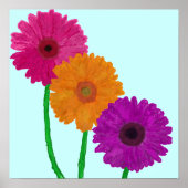 Gerbera Daisies Poster (Voorkant)