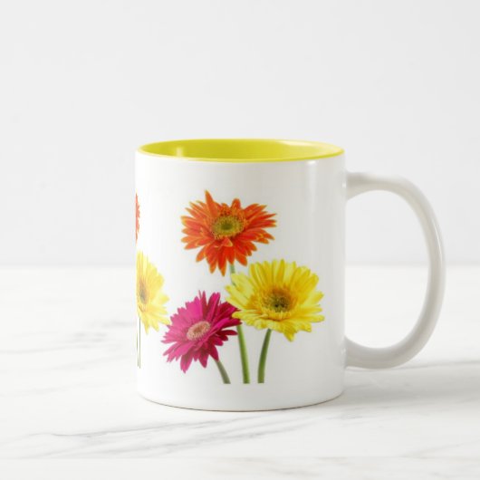 Gerbera Daisies Tweekleurige Koffiemok (Rechts)