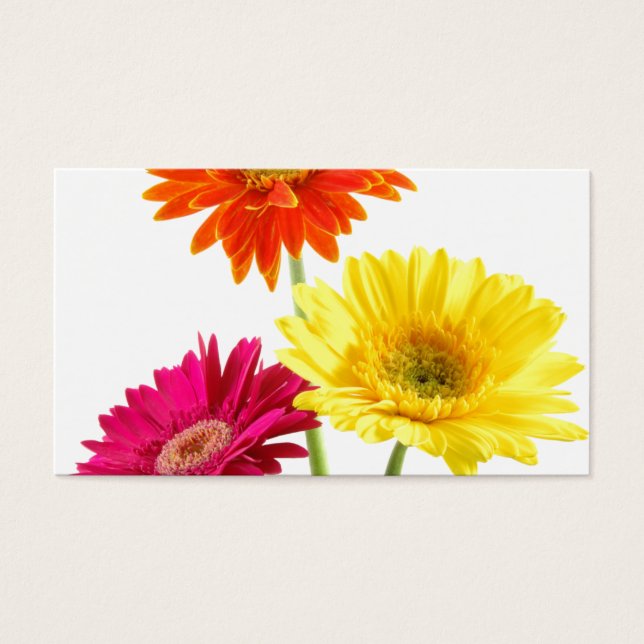 Gerbera Daisies Visitekaartje (Voorkant)