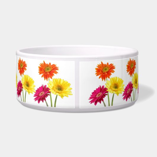 Gerbera Daisies Voerbakje (Achterkant)