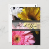 Gerbera Daisy 8 Bedankt Briefkaart (Voorkant / Achterkant)