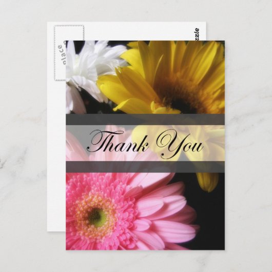 Gerbera Daisy 8 Bedankt Briefkaart (Voorkant / Achterkant)