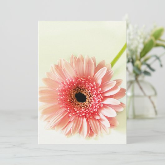 Gerbera Daisy Bedankkaart (Staand voorkant)
