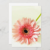 Gerbera Daisy Bedankkaart (Voorkant / Achterkant)