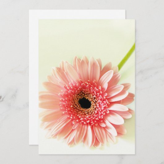 Gerbera Daisy Bedankkaart (Voorkant / Achterkant)