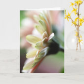 Gerbera Daisy Birthday Card Kaart (Gele Bloem)