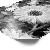 Gerbera Daisy Black & White Photography Foto Afdruk (Hoek)
