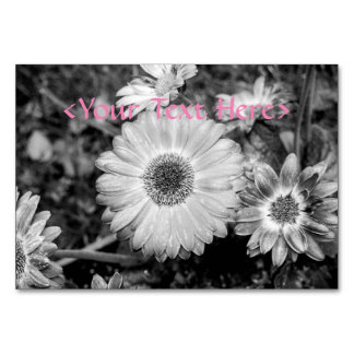 Gerbera Daisy Black & White Photography Kaart