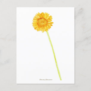 Gerbera daisy briefkaart