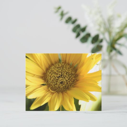 Gerbera Daisy Briefkaart (Staand voorkant)