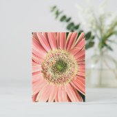 Gerbera Daisy Briefkaart (Staand voorkant)