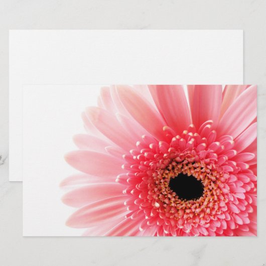 Gerbera Daisy Briefpapier (Voorkant / Achterkant)