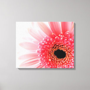 Gerbera Daisy Canvas Afdruk