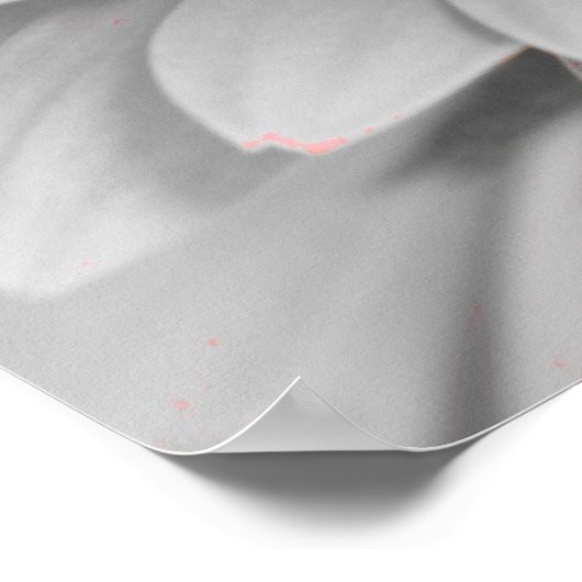 Gerbera Daisy Canvas Poster (Hoek)