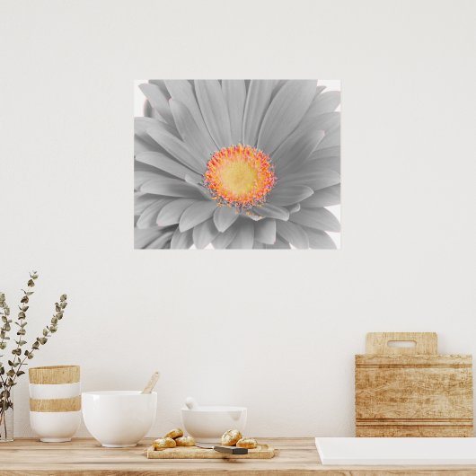 Gerbera Daisy Canvas Poster (Keuken)