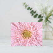 Gerbera Daisy Close-up Foto Briefkaart (Staand voorkant)
