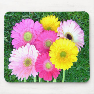 Gerbera Daisy Colors Mousepad Muismat