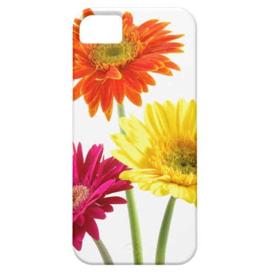 Gerbera Daisy Delight Case-Mate iPhone Case (Achterkant)