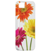 Gerbera Daisy Delight Case-Mate iPhone Case (Back/Rechts)