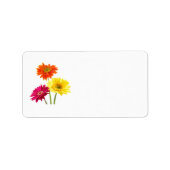 Gerbera Daisy Delight Etiket (Voorkant)