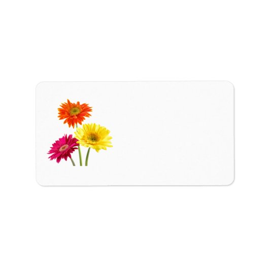 Gerbera Daisy Delight Etiket (Voorkant)