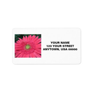 Gerbera Daisy Etiket