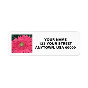 Gerbera Daisy Etiket
