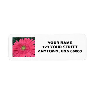Gerbera Daisy Etiket