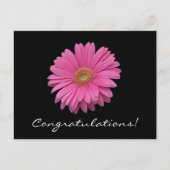 Gerbera Daisy Felicitaties Briefkaart (Voorkant)