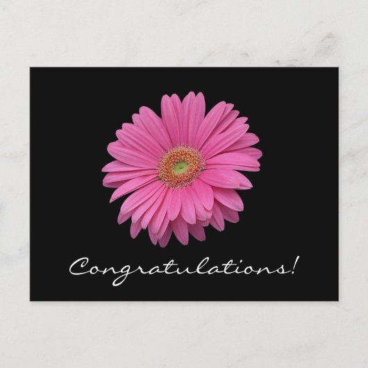 Gerbera Daisy Felicitaties Briefkaart (Voorkant)