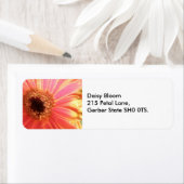 Gerbera Daisy Flower Adresetiketten Etiket (Insitu)