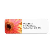 Gerbera Daisy Flower Adresetiketten Etiket (Voorkant)