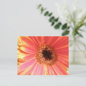 Gerbera Daisy Flower Briefkaart (Staand voorkant)